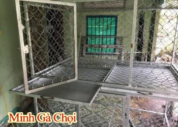 Hướng dẫn làm chuồng gà chọi bằng sắt tại nhà