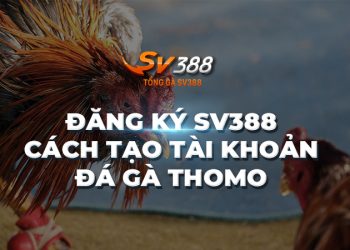 Đăng ký SV388 Tổng | Các bước tạo tài khoản đá gà Thomo