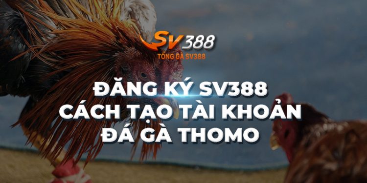 Đăng ký SV388 Tổng | Các bước tạo tài khoản đá gà Thomo