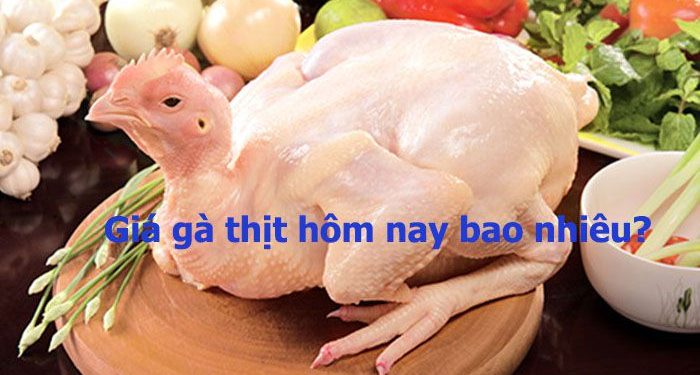 Mức giá gà thịt ta thả vườn hôm nay bao nhiêu?