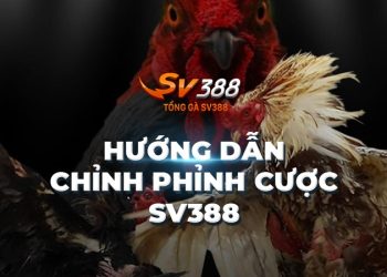 Chỉnh Phỉnh Cược SV388: Hướng Dẫn Thao Tác Chỉnh Phỉnh Cược