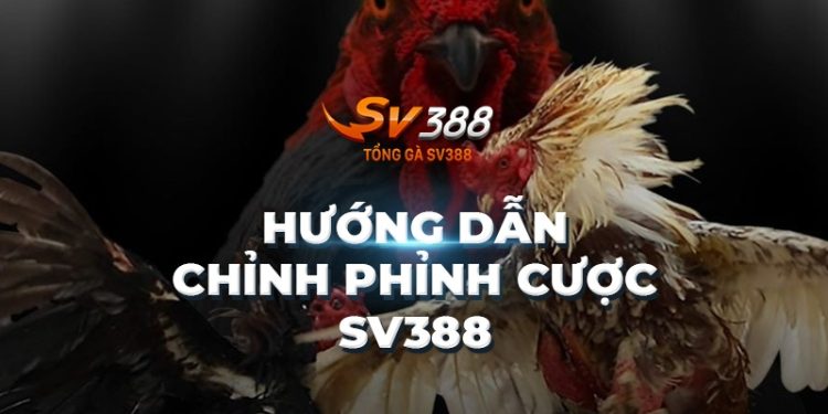 Chỉnh Phỉnh Cược SV388: Hướng Dẫn Thao Tác Chỉnh Phỉnh Cược