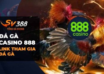 Đá Gà Casino 888: Trải nghiệm lựa chọn số một