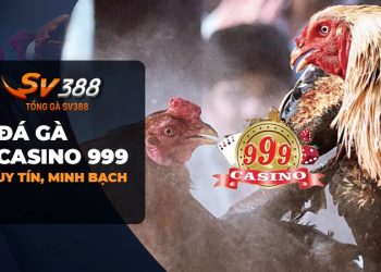 Đá Gà Casino 999: Uy tín, minh bạch và an toàn