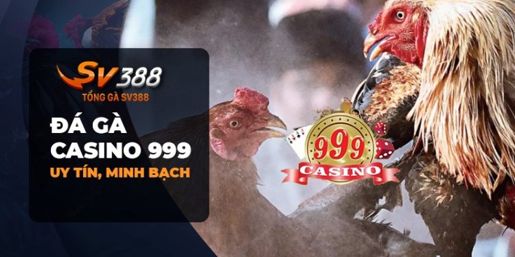 Đá Gà Casino 999: Uy tín, minh bạch và an toàn