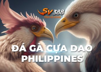 Đá gà cựa dao Philippines: Lịch sử, đặc điểm và quy trình