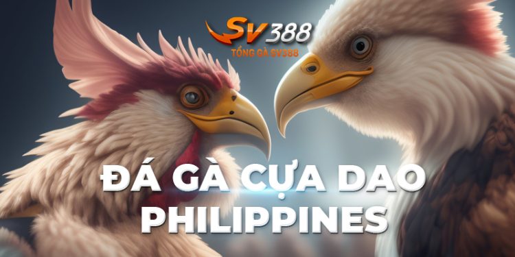 Đá gà cựa dao Philippines: Lịch sử, đặc điểm và quy trình