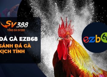 Đá Gà EZB68: Trải nghiệm độc đáo và thú vị tại Đá Gà SV388