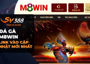 Đá gà M8WIN: Sự tiện lợi và an toàn của trò chơi đá gà trực tuyến