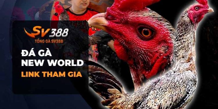 Đá gà New World: Trang cá cược đỉnh cao với nhiều thể loại đá gà hấp dẫn