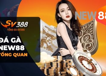 Hướng Dẫn Đăng Ký và Đăng Nhập Đá Gà New88