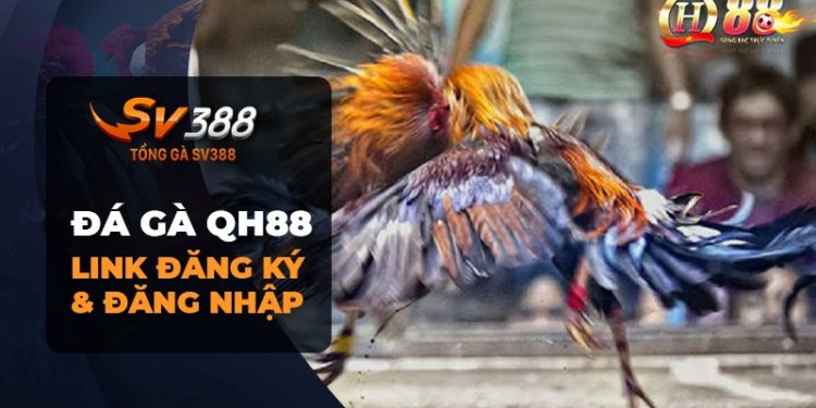 Đá gà QH88: Nhà cái uy tín hàng đầu Đông Nam Á