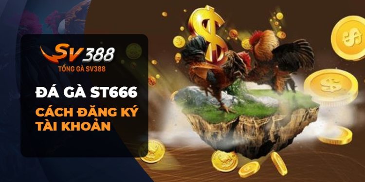 Đá gà ST666 - Lựa chọn hàng đầu cho trải nghiệm đá gà trực tuyến