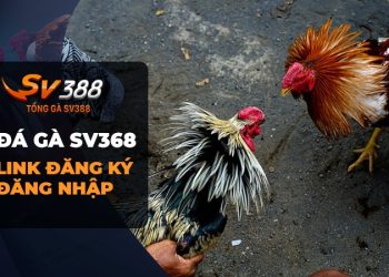 Đá Gà SV388 - Đăng ký và đăng nhập nhanh chóng