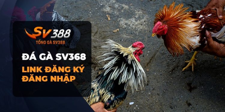 Đá Gà SV388 - Đăng ký và đăng nhập nhanh chóng