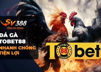 Đá Gà Tobet88: 7 Lý Do Bạn Nên Tham Gia