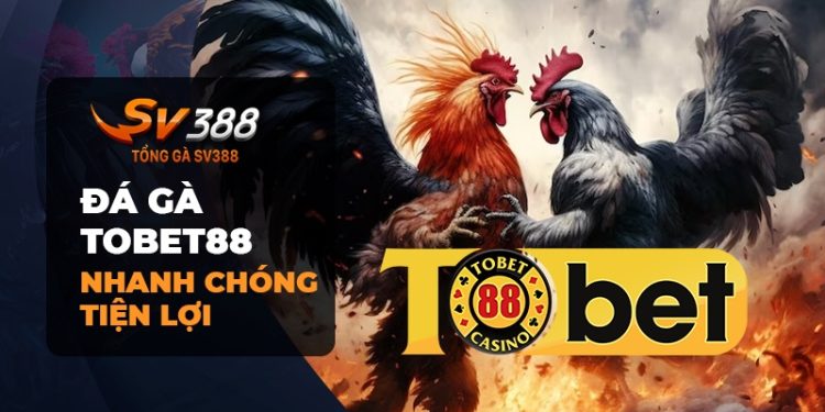 Đá Gà Tobet88: 7 Lý Do Bạn Nên Tham Gia