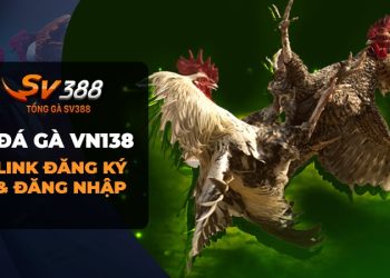 Đá gà VN138 - Trang web cá cược đá gà uy tín và hấp dẫn!