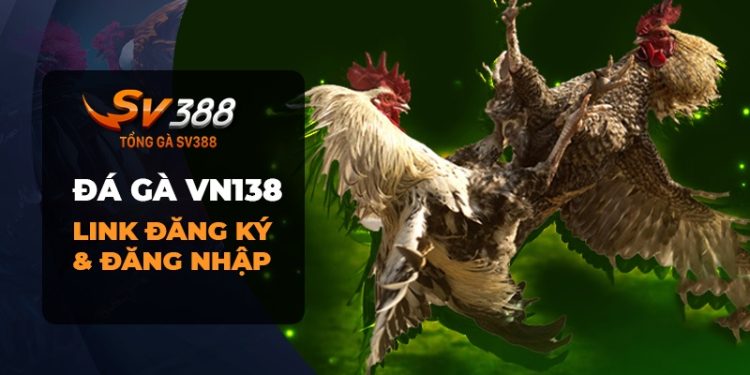 Đá gà VN138 - Trang web cá cược đá gà uy tín và hấp dẫn!