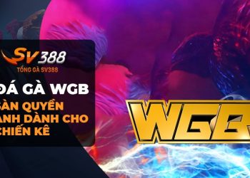 Đá gà WGB: Khi Quyền Anh Gà Chọi Đạt Đến Đỉnh Cao