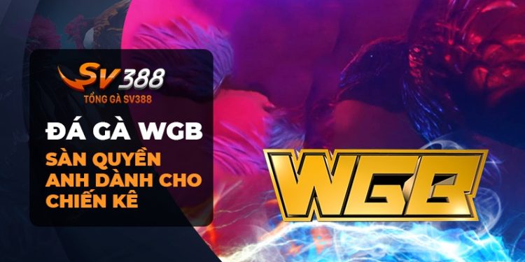 Đá gà WGB: Khi Quyền Anh Gà Chọi Đạt Đến Đỉnh Cao