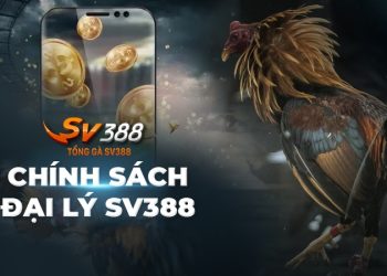 Đại lý SV388: Thông tin chi tiết về chính sách và kế hoạch nhận hoa hồng