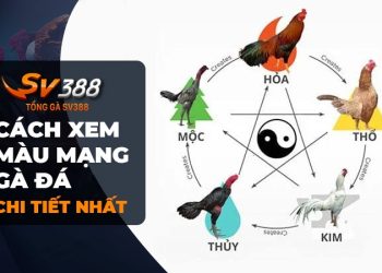 Hôm Nay Đá Gà Màu Nào Mạnh?