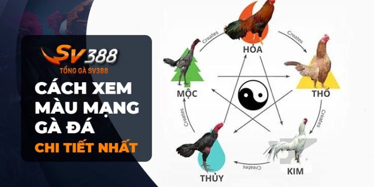 Hôm Nay Đá Gà Màu Nào Mạnh?