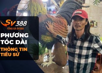 Ghé thăm Trại Gà Phương Tóc Dài - Tuyệt tác trong giới gà đá!