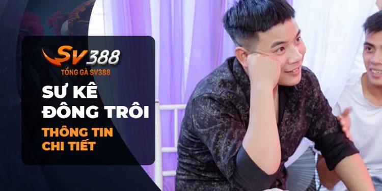 Đồng Trôi - Người hùng thầm lặng trong giới chơi gà đá