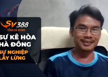 Tiểu Sử Sư Kê Hòa Hà Đông: Vị Sư Kê Lẫy Lừng Trong Giới Đá Gà Chọi