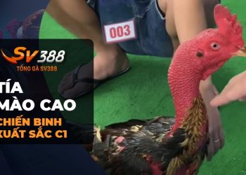 Tía Mào Cao: Chiến binh vượt trội, độc nhất vô nhị