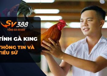 Tính Gà King: Thợ nuôi gà đá với trang trại đỉnh cao