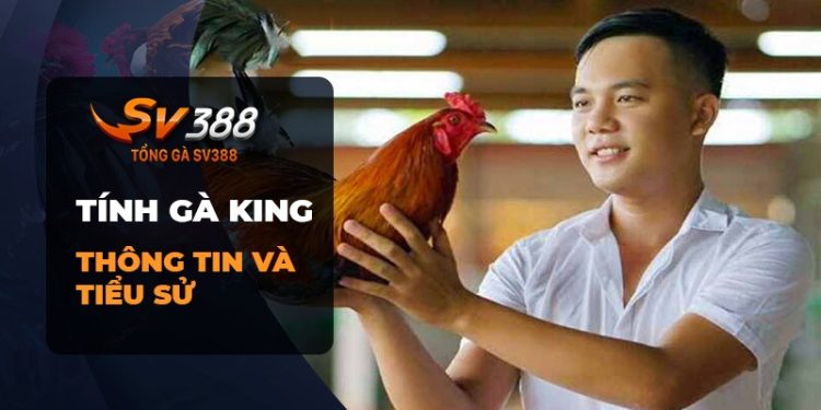 Tính Gà King: Thợ nuôi gà đá với trang trại đỉnh cao