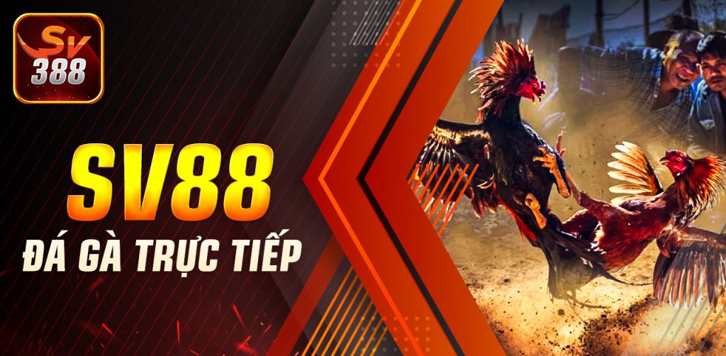 SV388 Link Đá Gà Trực Tiếp