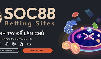 Hướng Dẫn Đá Gà Soc88 - Chơi Đơn Giản, Thắng Lớn